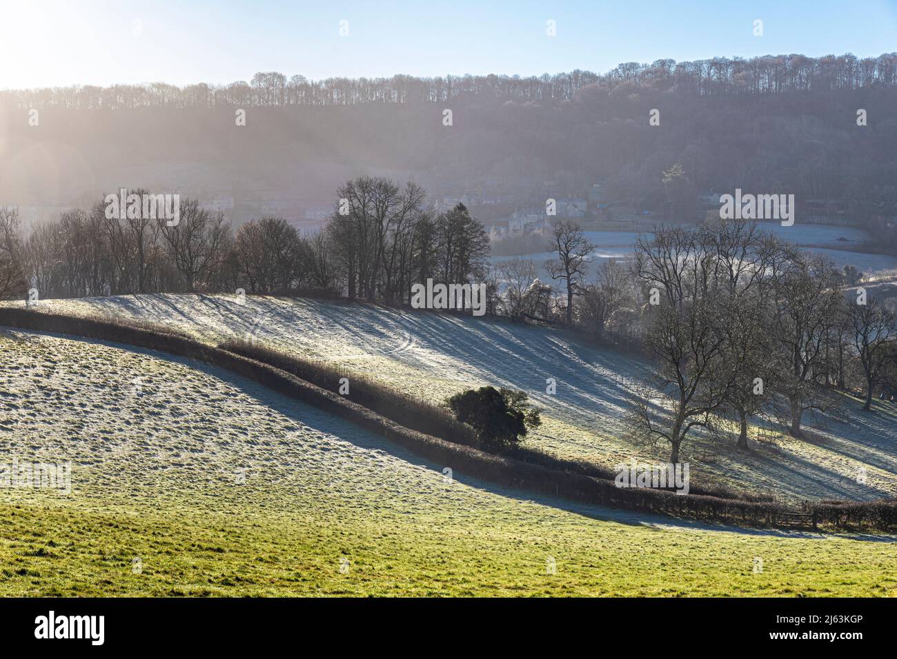 Neblina y heladas en la mañana de invierno cerca de la aldea de Cotswold de Sheepscombe, Gloucestershire, Inglaterra Reino Unido Foto de stock