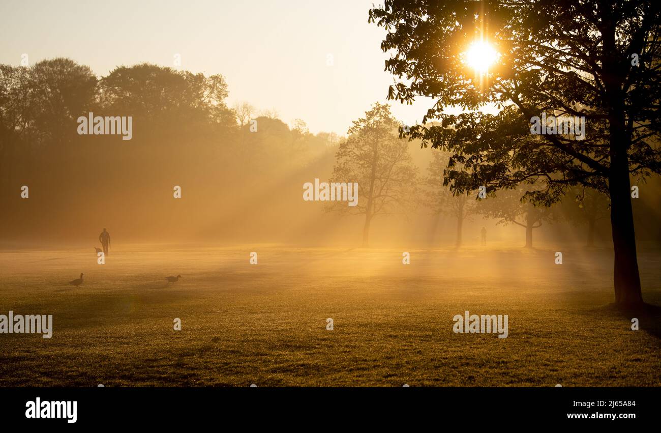 Munich, Alemania. 28th de Abr de 2022. Un hombre camina con su perro a  través del jardín inglés durante el amanecer. Crédito: Sven Hoppe/dpa/Alamy  Live News Fotografía de stock - Alamy