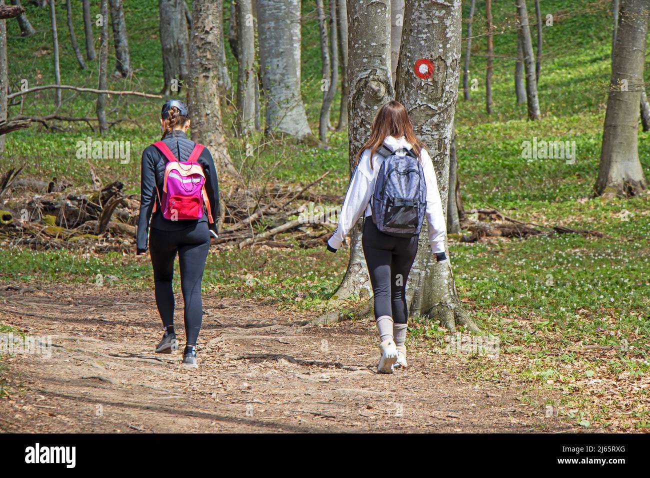 Dos niñas caminando por sendero en el bosque Foto de stock