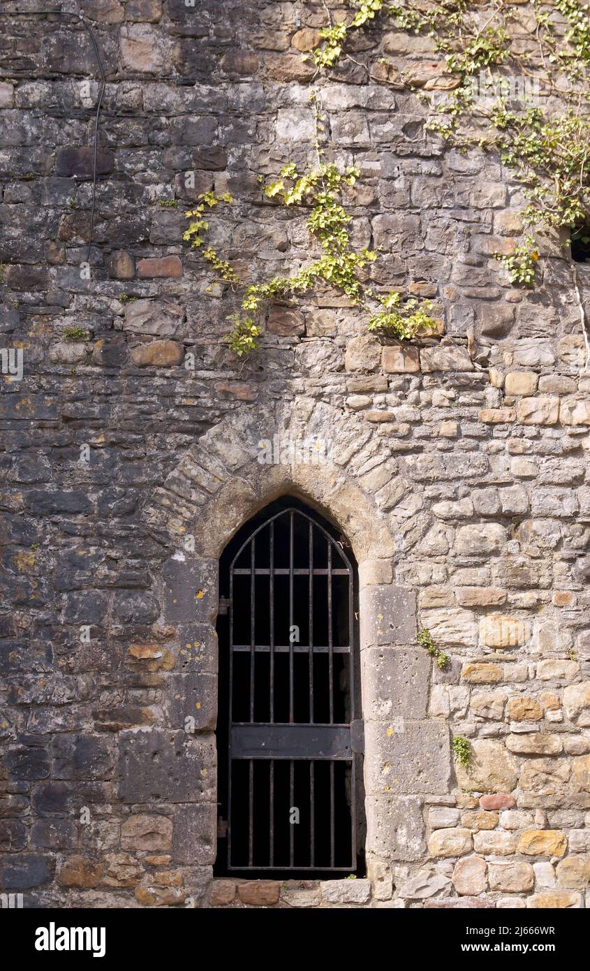 Ruinas del antiguo Palacio Episcopal, Llandaff, Cardiff, Gales, Reino Unido Foto de stock