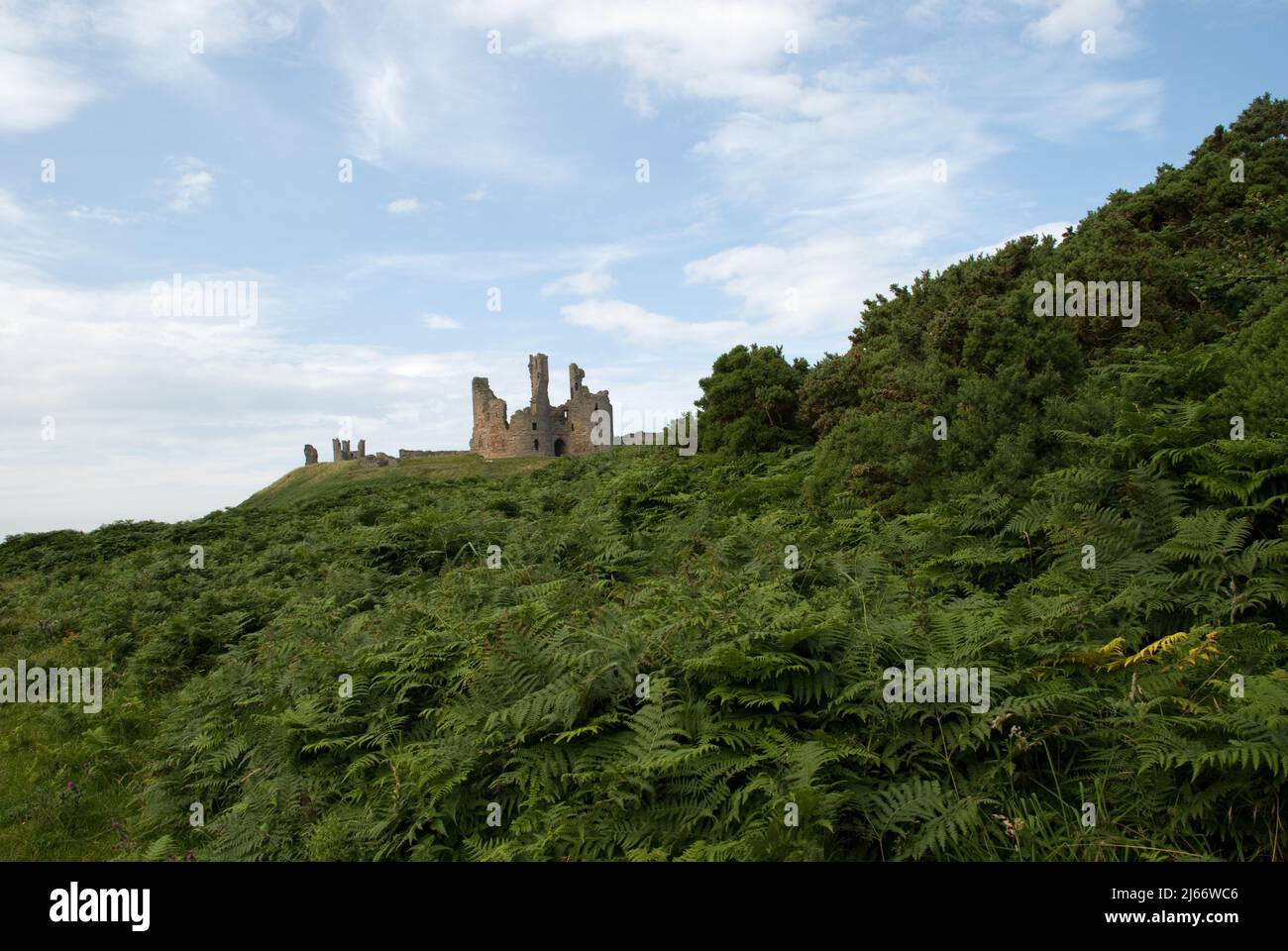 Imagen del paisaje que muestra partes del castillo de Dunstanburgh desde lejos y debajo de un banco cubierto de helechos en el lado de tierra de la costa Foto de stock