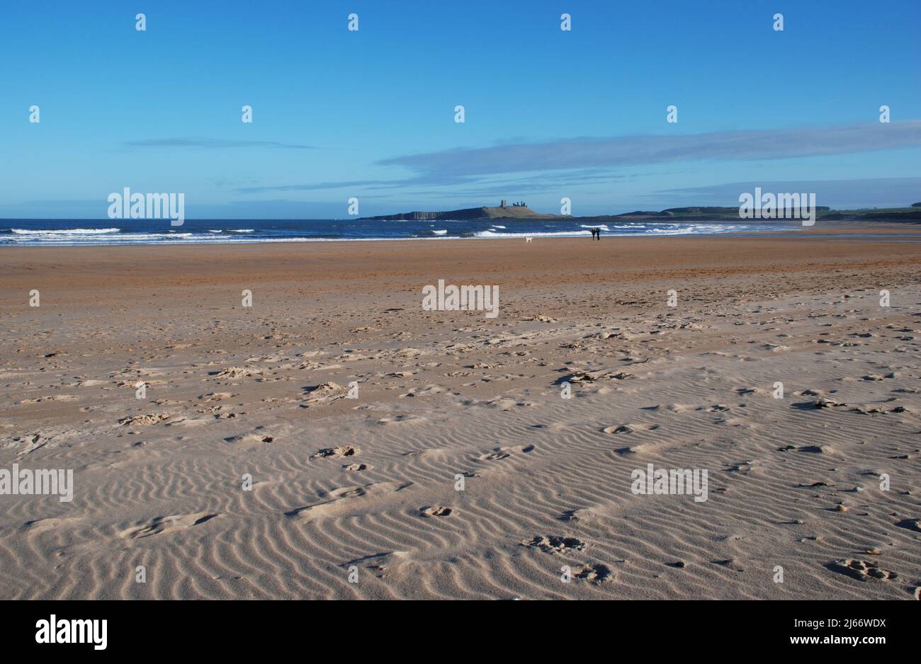Paisaje con el Castillo de Dunstanburgh en la distancia lejana con el primer plano de una amplia playa abierta y dos figuras distantes con el perro Foto de stock
