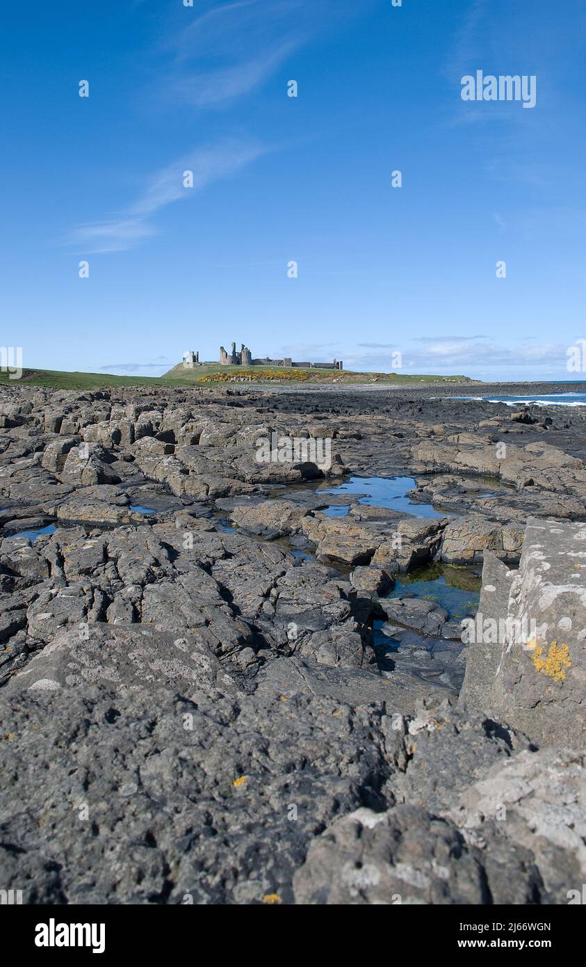 Imagen de estilo retrato con las rocas ígneas de la costa de Northumberland y un lejano castillo de Dunstanburgh que aparece contra un cielo azul Foto de stock