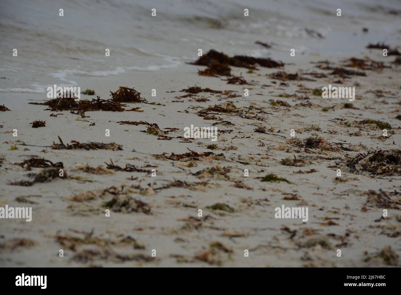 Playa Uqair al oeste de arabia saudita Foto de stock