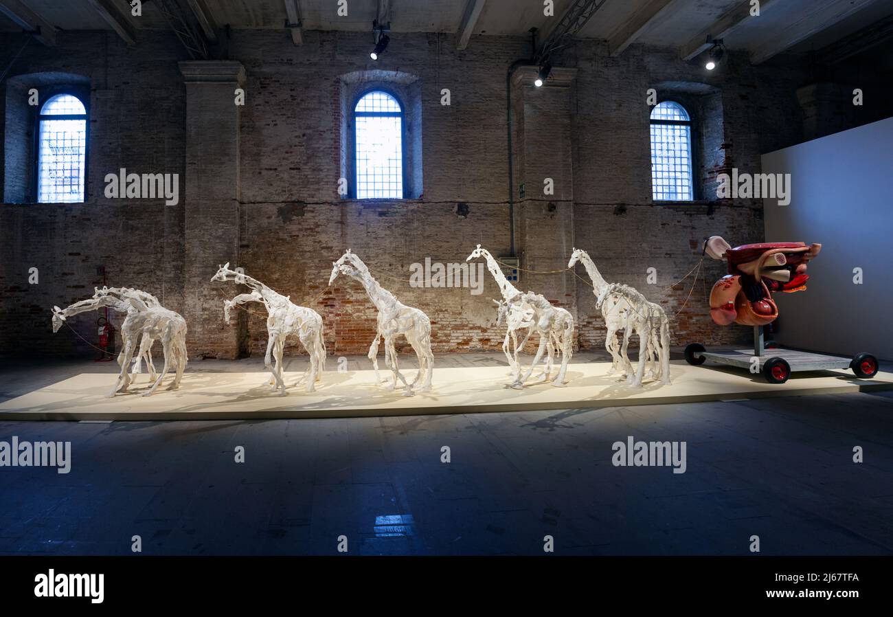 Venecia, Italia - Abril 20: Instalación titulada Habilidad y Necesidad por Raphaela Vogel en la exposición de Arte Internacional de Venecia bianualmente en 59th Foto de stock