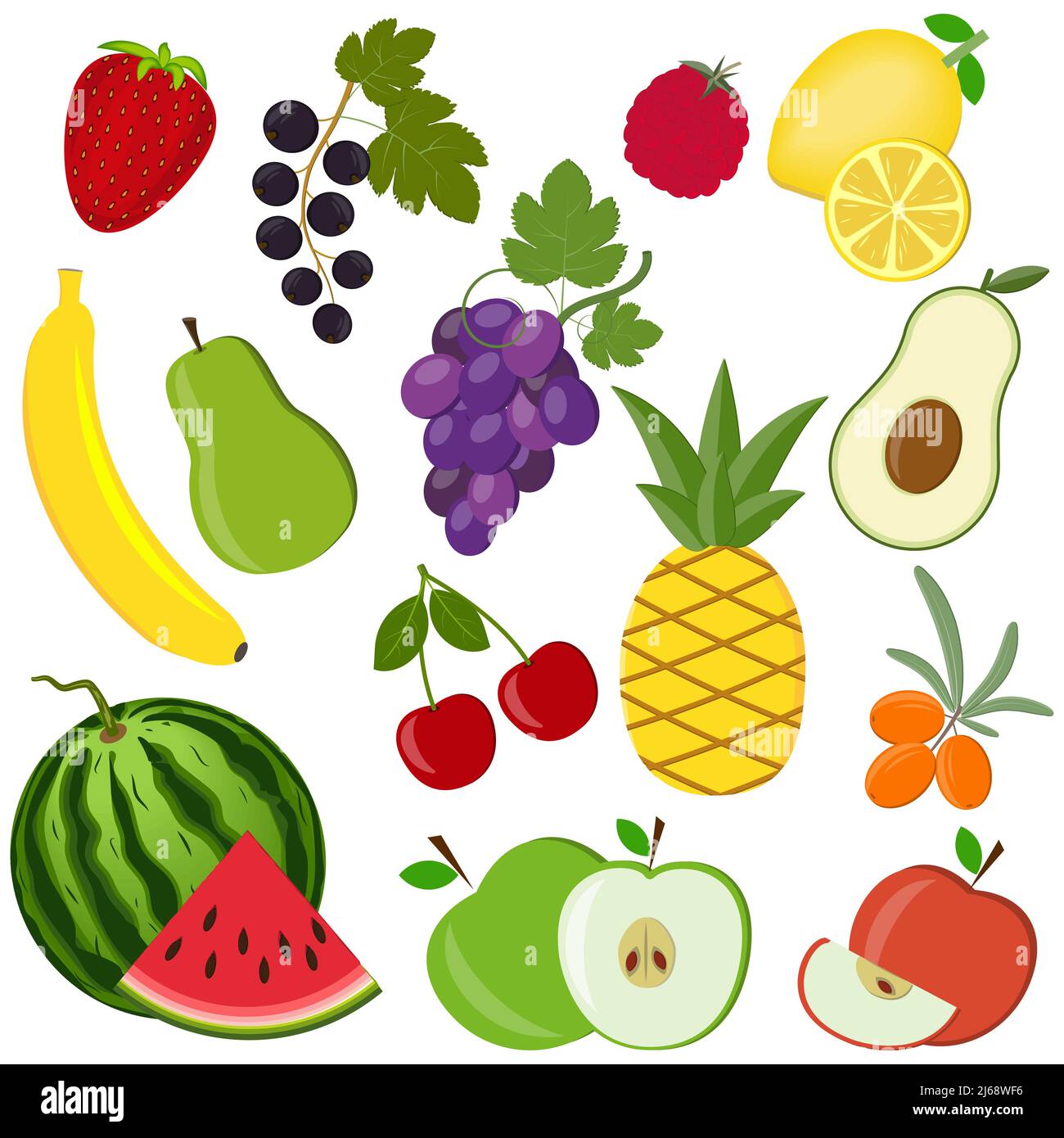 Modelo de fruta de diferentes frutas, ilustración de vector de color Imagen  Vector de stock - Alamy