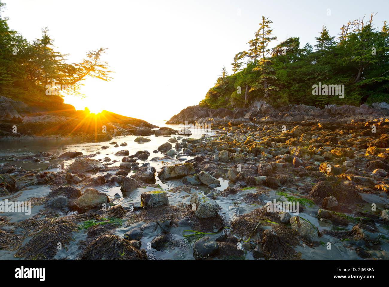 Puesta de sol en Mackenzie Beach, Tofino, Vancouver Island, British Columbia, Canadá, América del Norte Foto de stock