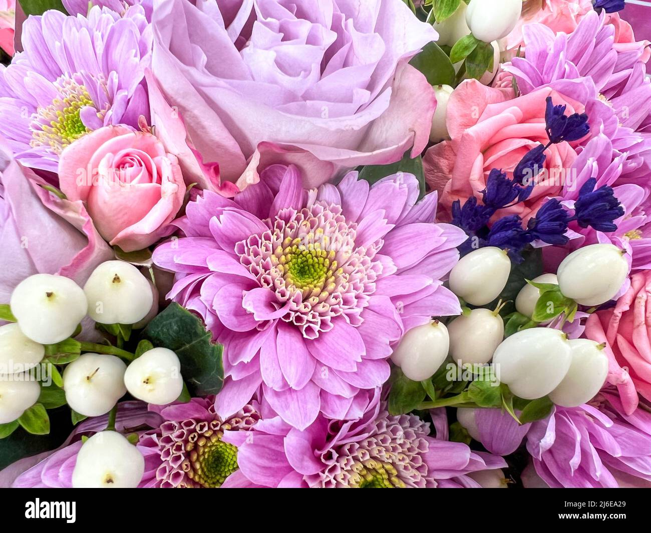 flores, variedad de flores hermosas coloridas como fondo o superficie.  diseño floral o fondo con hermoso ramo de flores de primavera de rosas y  ger Fotografía de stock - Alamy
