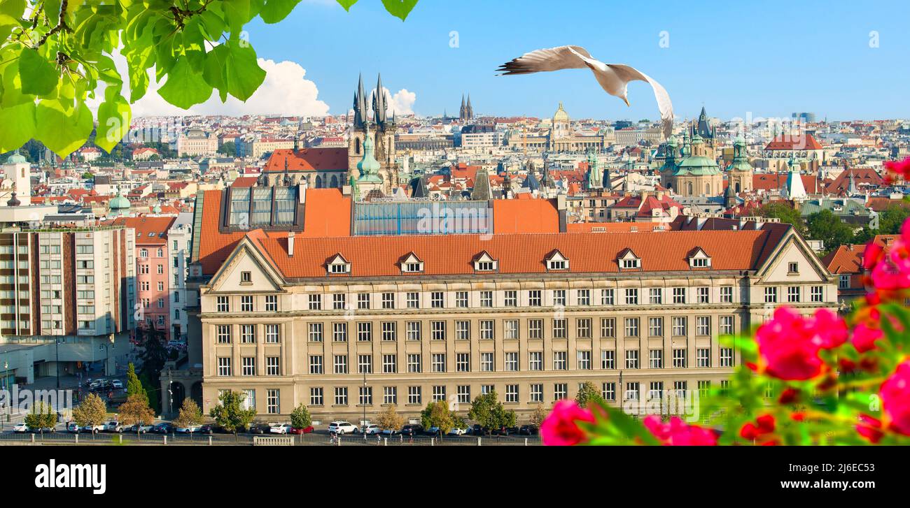 Vista de tejados rojos y la Torre Powder en Praga Foto de stock