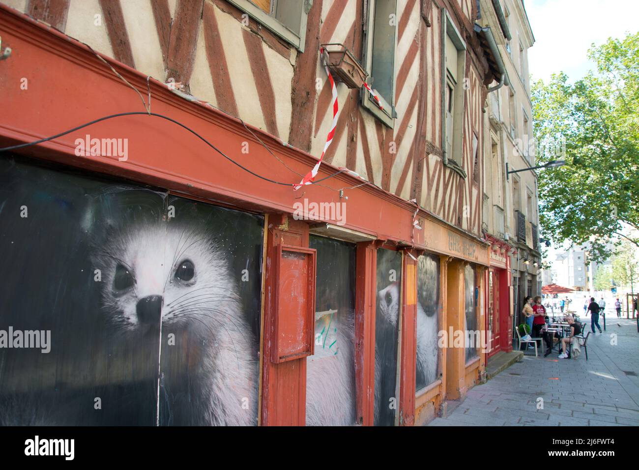 Wiesel prägen die Fassaden von leerstehenden Geschäften in der Innenstadt von Rennes Foto de stock
