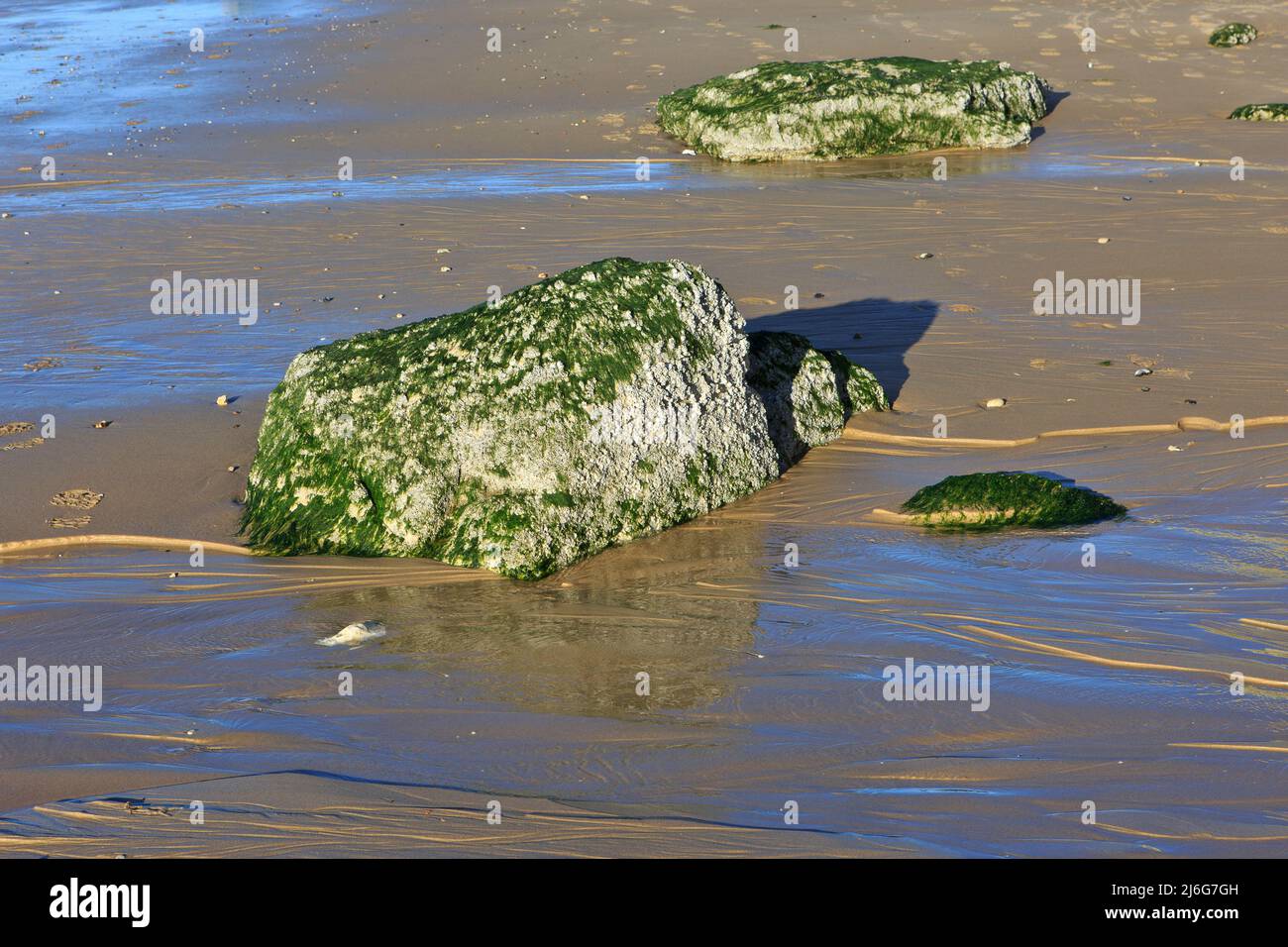 Rocas en la playa de Cap Blanc-Nez (Opal Coast) en Pas-de-Calais, Francia Foto de stock