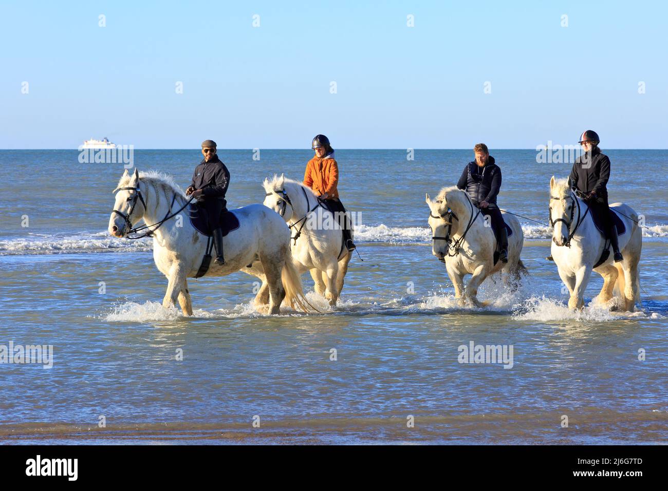 Montar a caballo en la playa de Cap Blanc-Nez (Cote d'Opale) en Paso de Calais, Francia Foto de stock