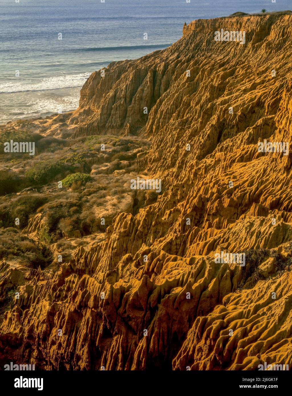Los acantilados de arenisca, y Playa Estatal Torrey Pines State Reserve, La Jolla, el condado de San Diego, California Foto de stock