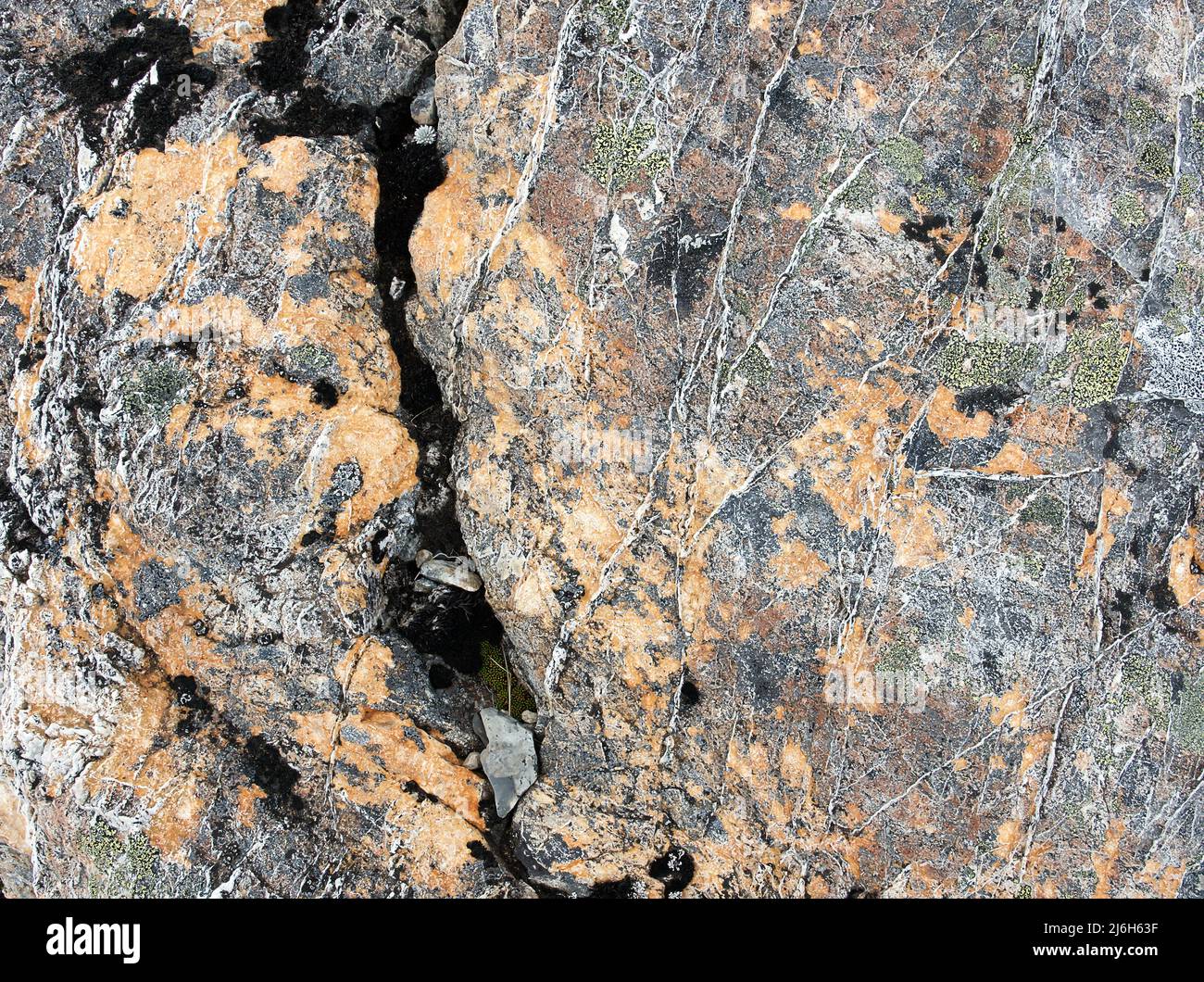 Detalle de líquenes en roca, Parque Nacional Arthurs Pass, Nueva Zelanda Foto de stock