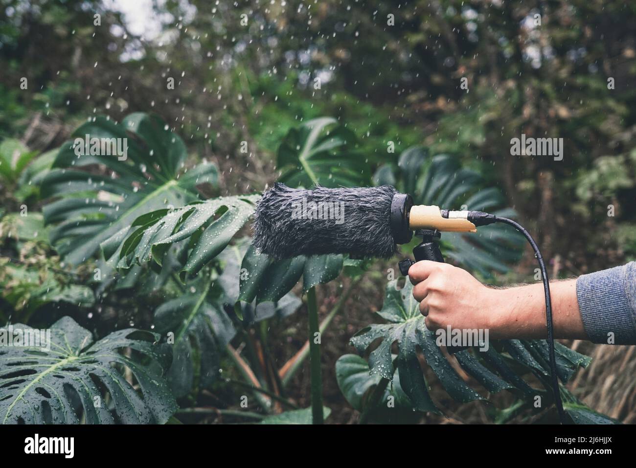 Sonido ambiental fotografías e imágenes de alta resolución - Alamy