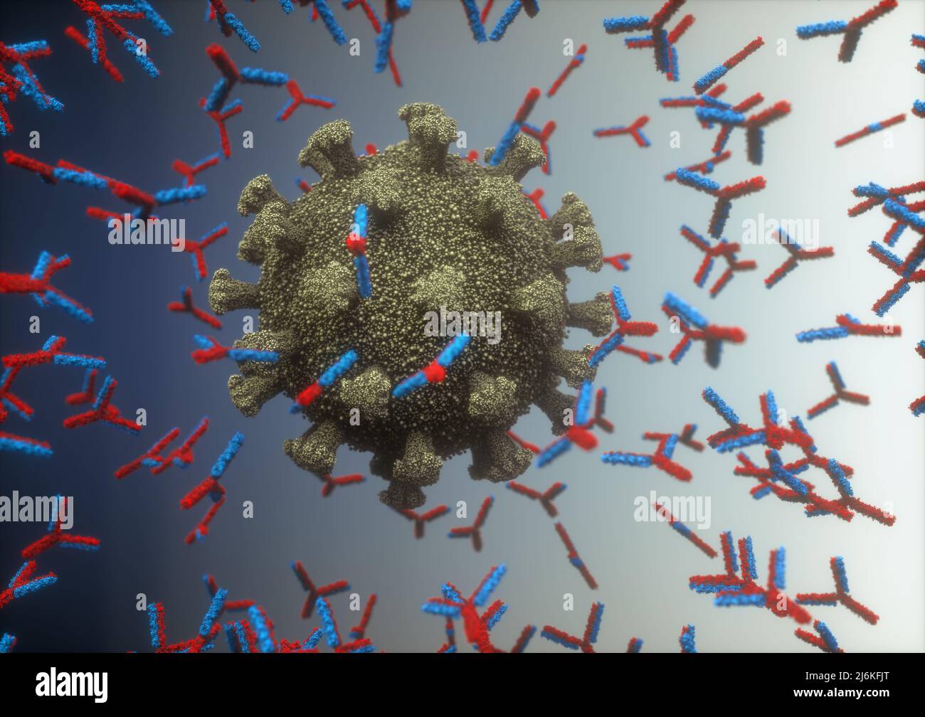 Sistema inmunológico, anticuerpos que atacan el virus covid-19. Ilustración 3D, concepto del sistema de defensa del cuerpo. Anticuerpo en forma de y que ataca el Foto de stock