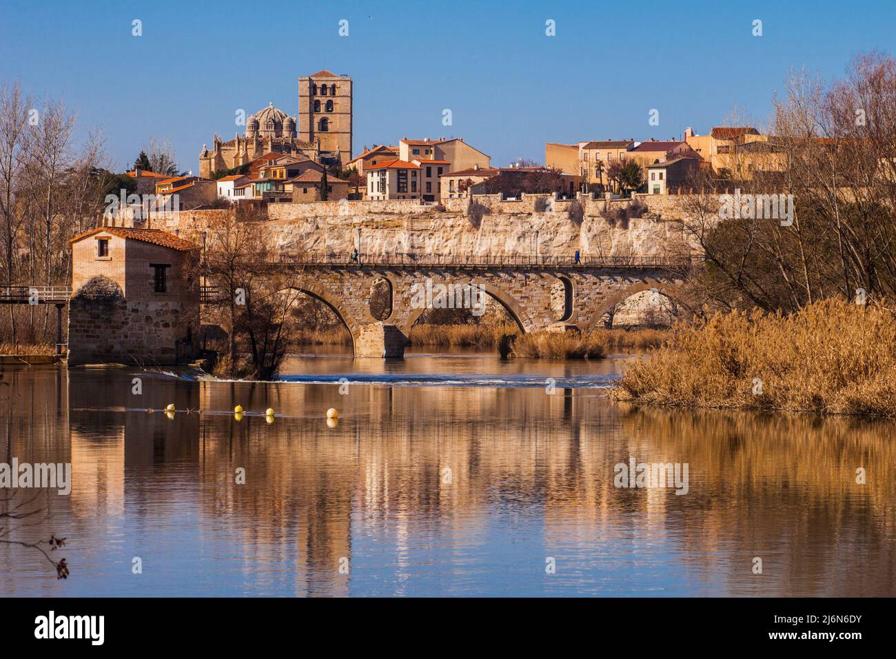 Catedral, Puente de piedra, Río Duero Zamora, Providencia Zamora, Castilla y León, España, Europa. Foto de stock