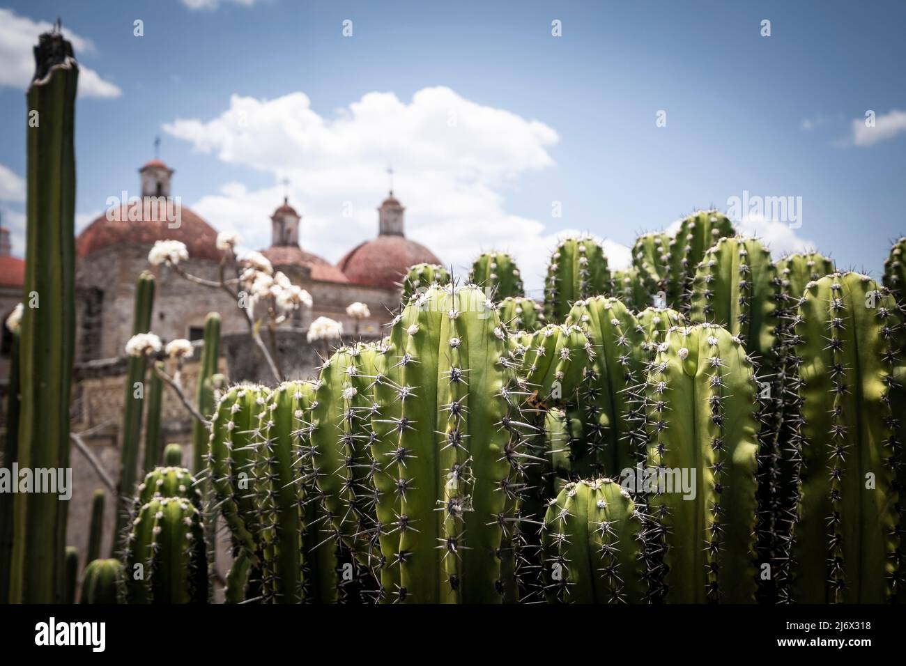 El antiguo e increíble yacimiento arqueológico de Mitla en Oaxaca