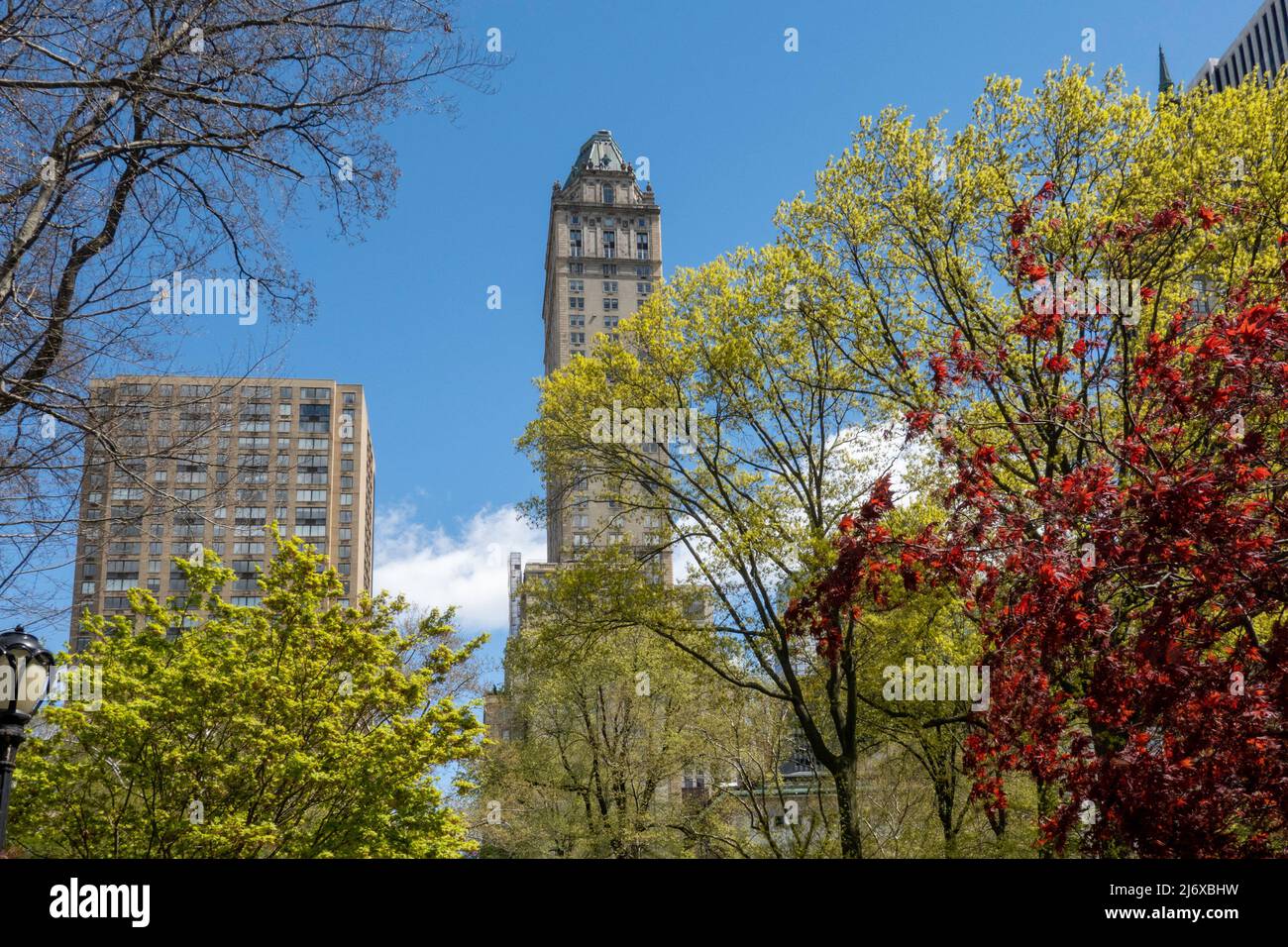 Central Park en la ciudad de Nueva York es hermoso durante la temporada de primavera, EE.UU. 2022 Foto de stock