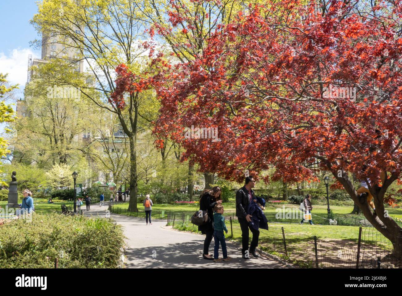 Central Park en la ciudad de Nueva York es hermoso durante la temporada de primavera, EE.UU. 2022 Foto de stock