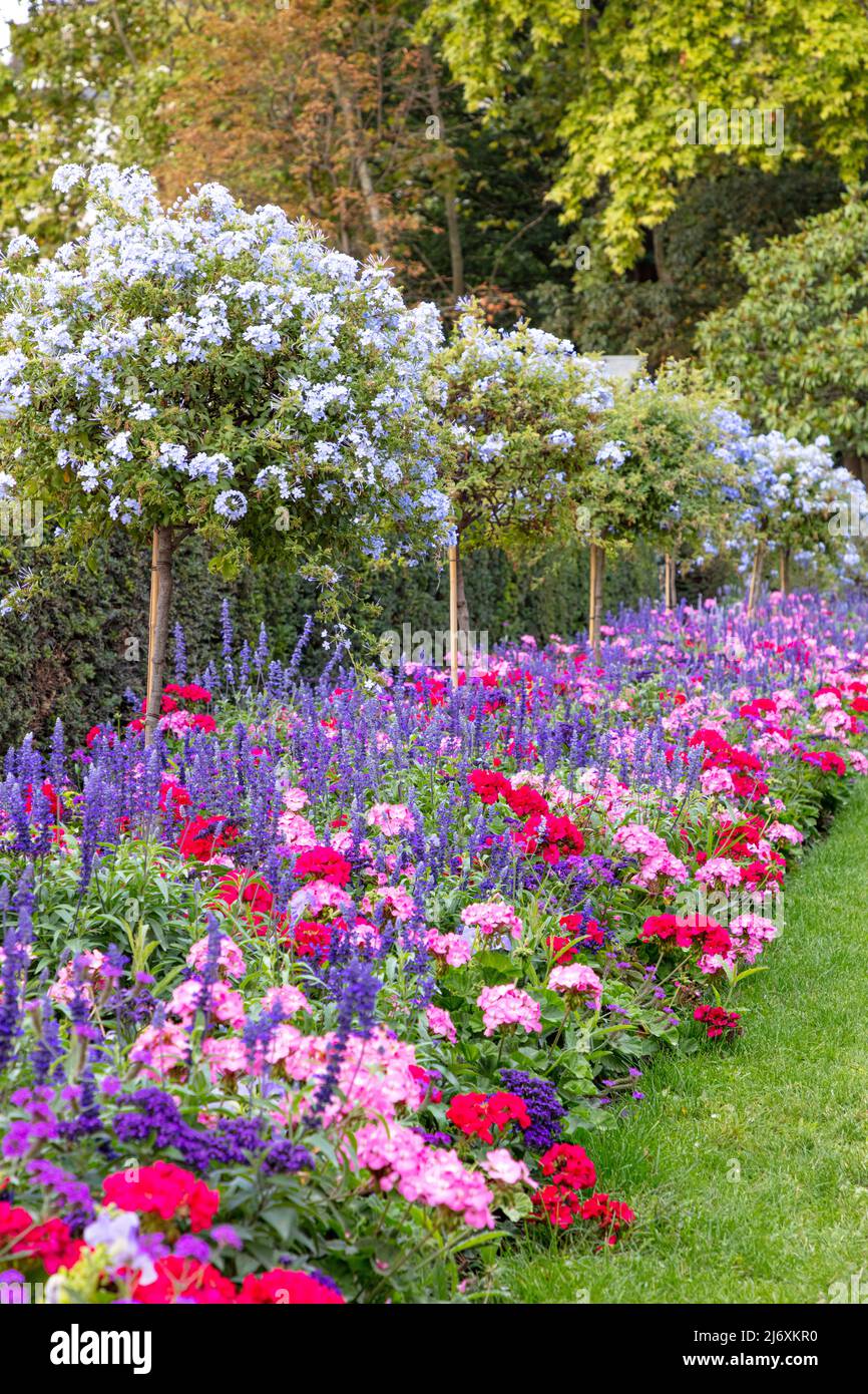 Flores y flores en el Jardin du Luxembourg, París, Isla de Francia, Francia Foto de stock