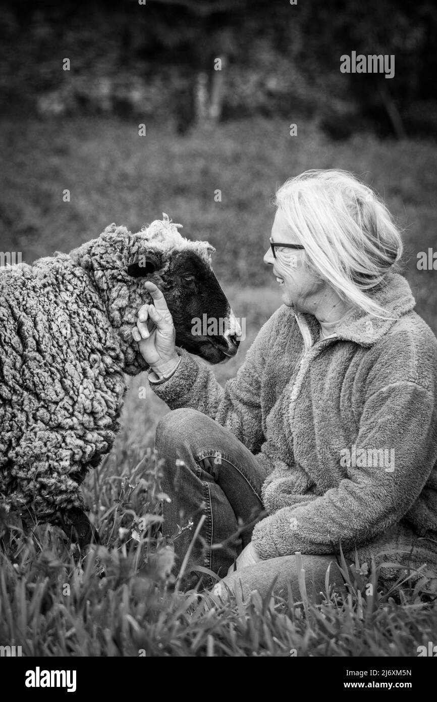 Lindos ovejas y granjero, animales de mascotas, al aire libre en la naturaleza. Foto de stock