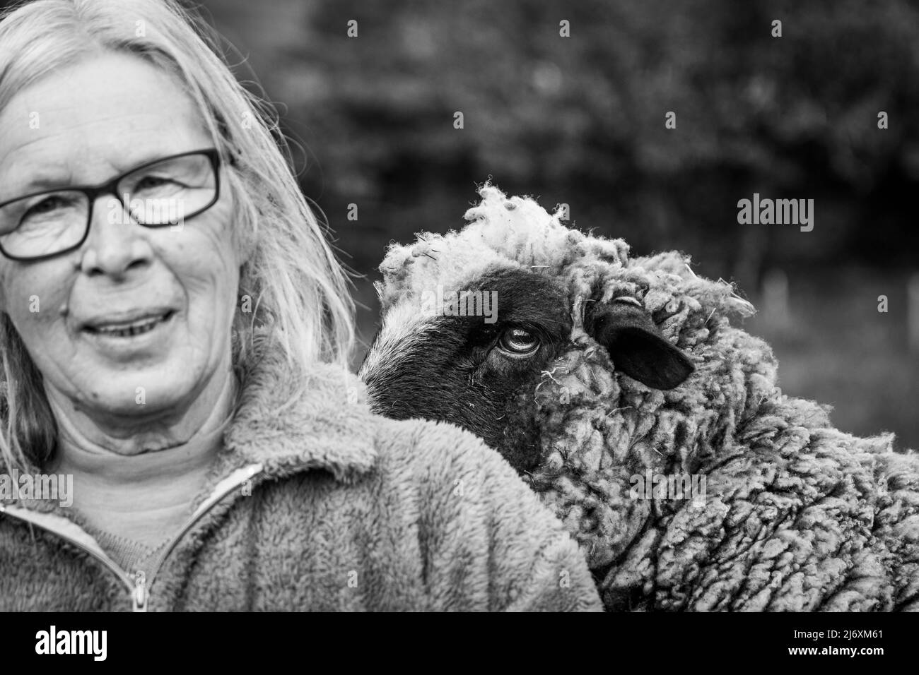 Lindos ovejas y granjero, animales de mascotas, al aire libre en la naturaleza. Foto de stock