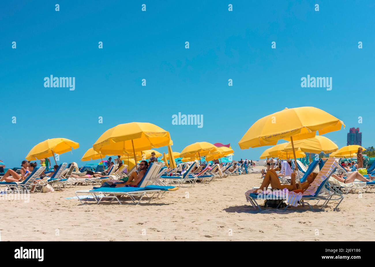 Personas en tumbonas de playa bajo sombrillas amarillas en Miami Beach, Miami, Florida, Estados Unidos con espacio para copiar Foto de stock