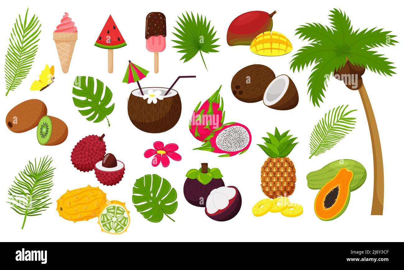 Conjunto de hojas tropicales y frutas exóticas. Palmera con coco y helado, cóctel. Elementos decorativos en un estilo de dibujos animados planos para el verano, vaca Ilustración del Vector