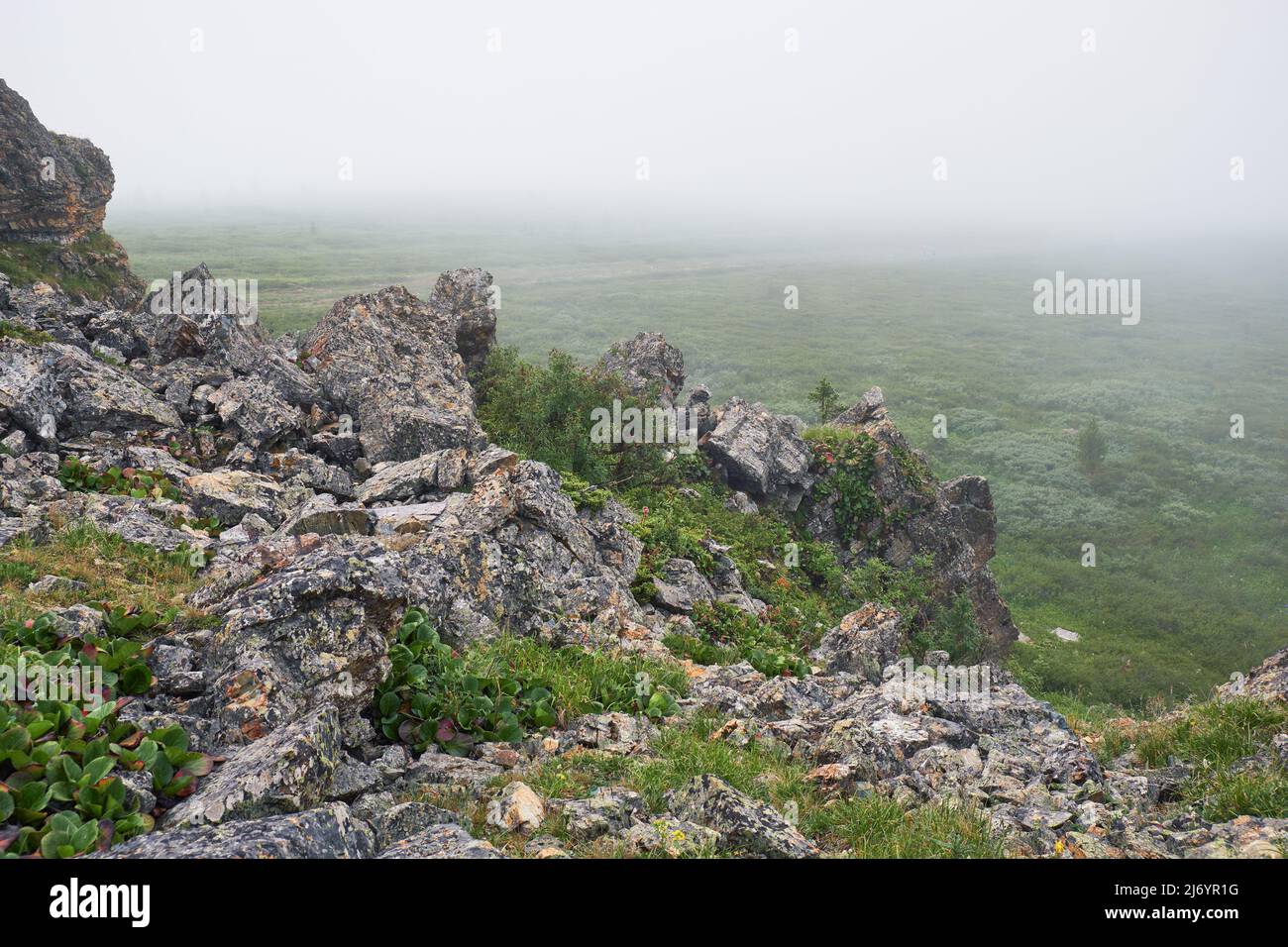 Niebla matutina en las montañas. Altai, Siberia. Foto de stock
