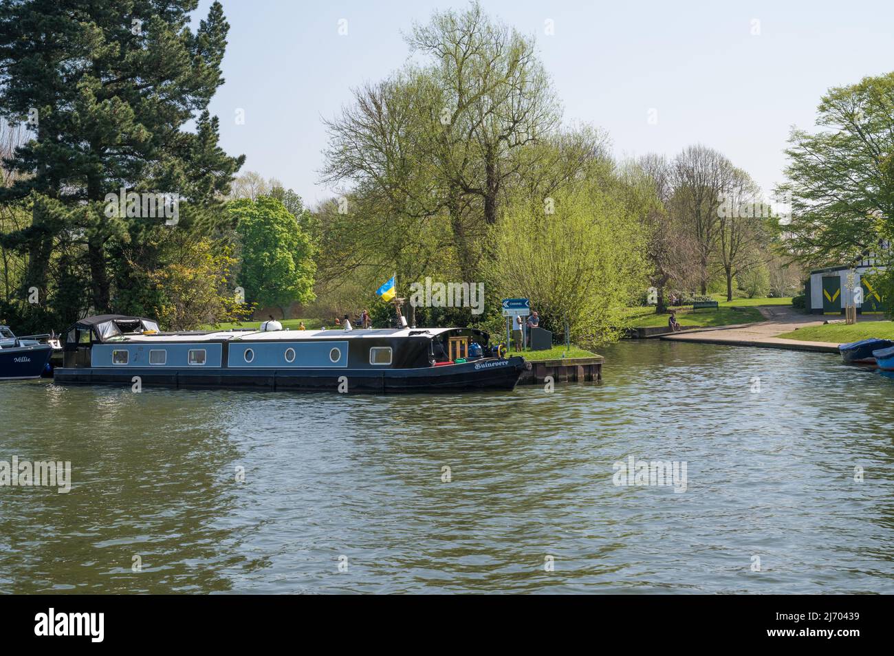 Barco estrecho Guinevere, volando la bandera ucraniana, amarró bankside en el río Támesis en un día soleado de primavera. Windsor, Berkshire, Inglaterra, Reino Unido. Foto de stock