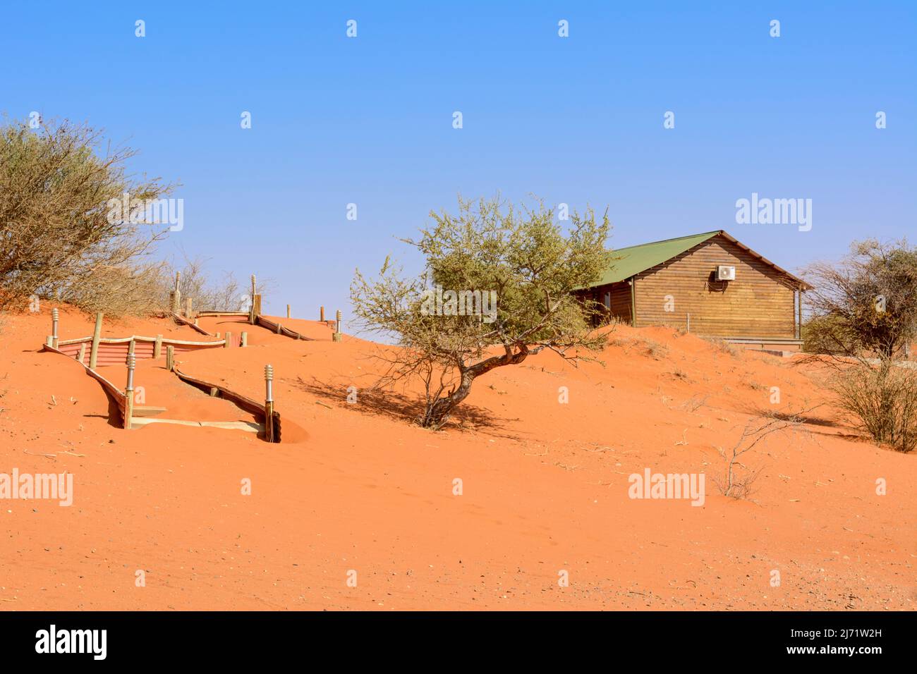 Vista del paisaje de las dunas de arena roja y la sabana mixta de árboles y arbustos de Bagatelle Kalahari Game Ranch, Desierto de Kalahari, Namibia, África Foto de stock