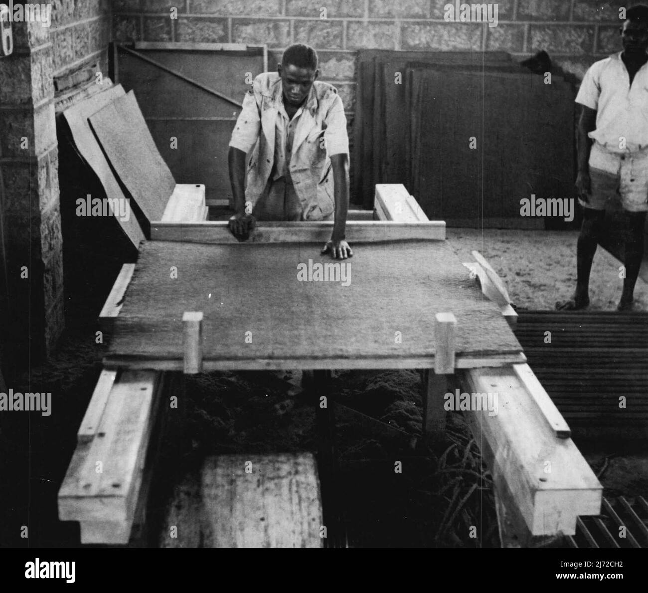 Fábrica de tableros de fibra - Thika, E. Africa -- Recortar el producto final al tamaño. Una de las series tomadas en la fábrica de la Junta de Fibra de la Junta de Administración Industrial de África Oriental en Thika. 13 de septiembre de 1951. (Foto de la fotografía oficial británica). Foto de stock