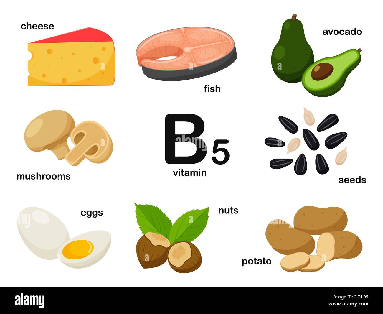 Póster rectangular con productos alimenticios que contienen vitamina B5
