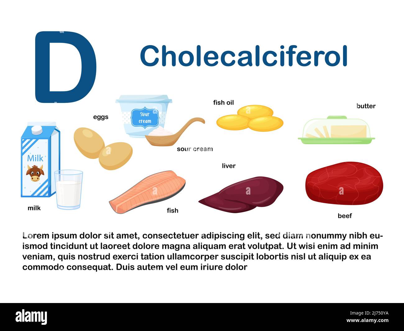 Póster Rectangular Con Productos Alimenticios Que Contienen Vitamina D Cholecalciferol 1178