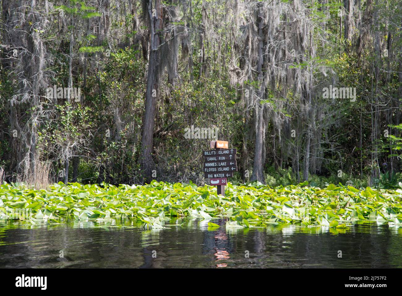 Señales direccionales de madera en la calle en canoa y paseos en bote en el Refugio Nacional de Vida Silvestre Okefenokee Swamp, Georgia, Estados Unidos Foto de stock