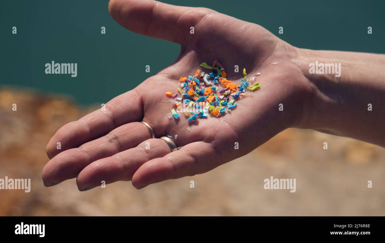 Primer plano de partículas de microplásticos en la mano de un voluntario. Concepto de contaminación del plástico y del agua. Foto de stock