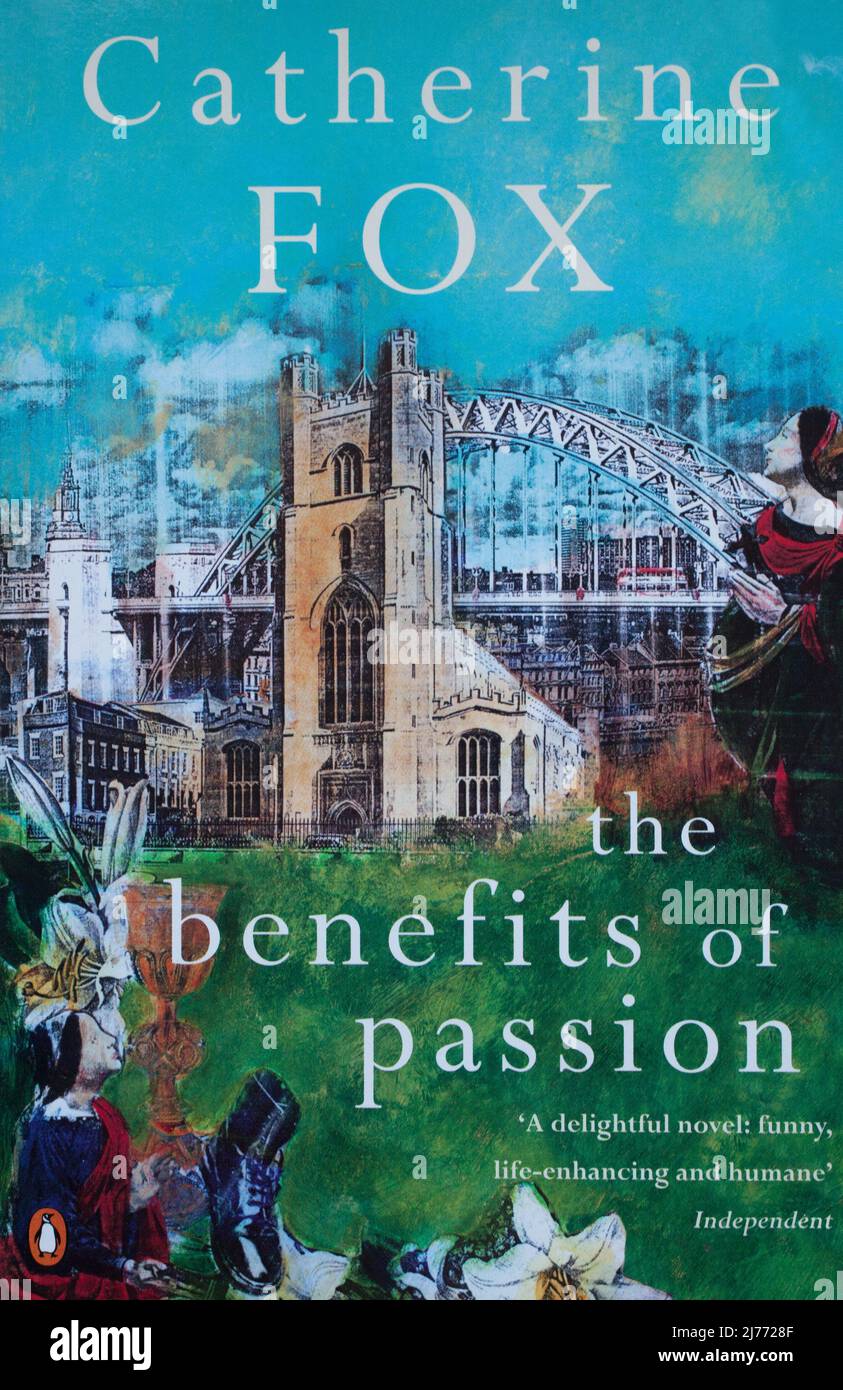 El libro, Los beneficios de la pasión por Catherine Fox Foto de stock