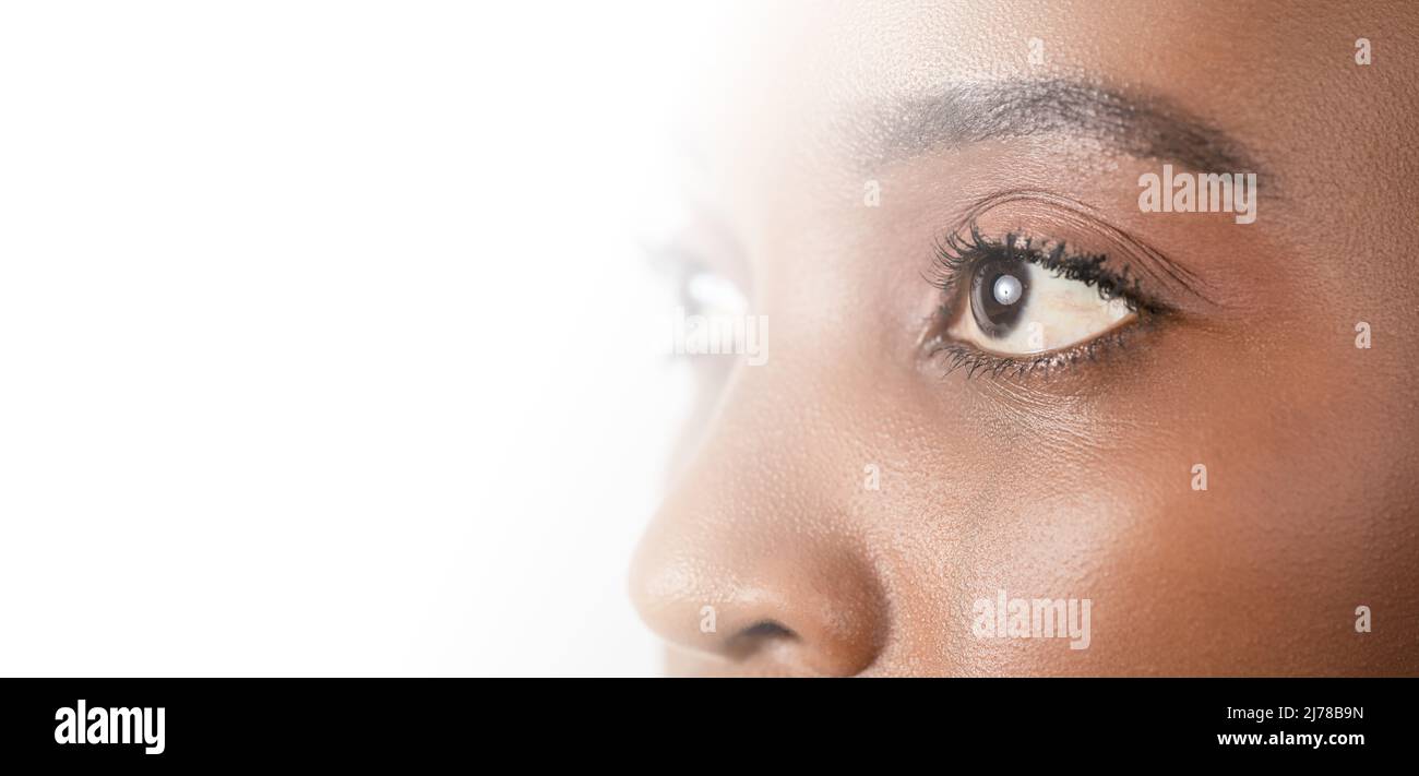 Primer plano, profle foto de un ojo femenino de piel oscura, iris, pupila, pestañas de ojos, tapas de ojos. Fotografías de alta calidad Foto de stock