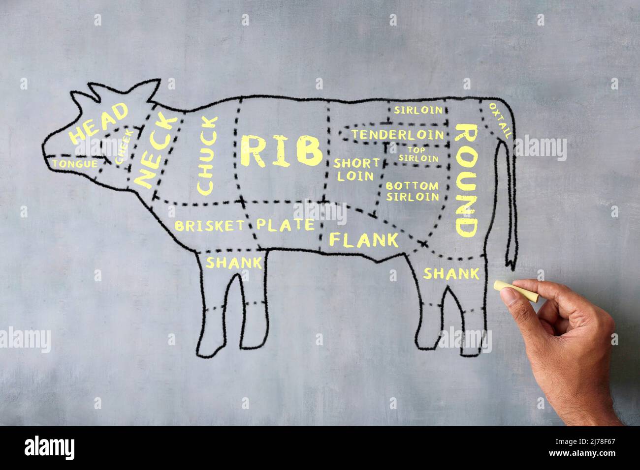 Imagen dibujada a mano del diagrama de cortes de carne de carnicero en la pizarra. Foto de stock