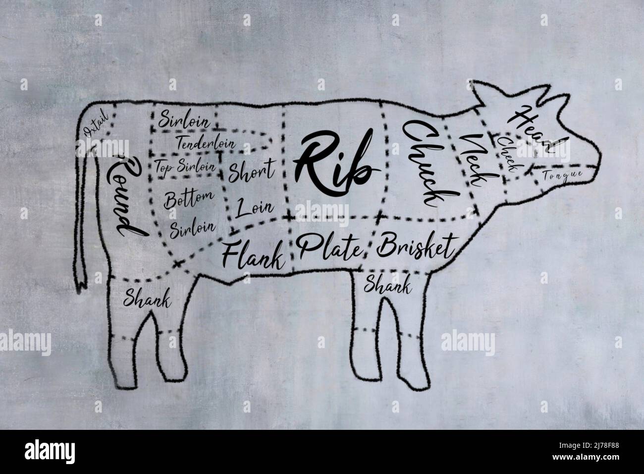 Imagen dibujada a mano del diagrama de cortes de carne de carnicero en la pizarra. Foto de stock