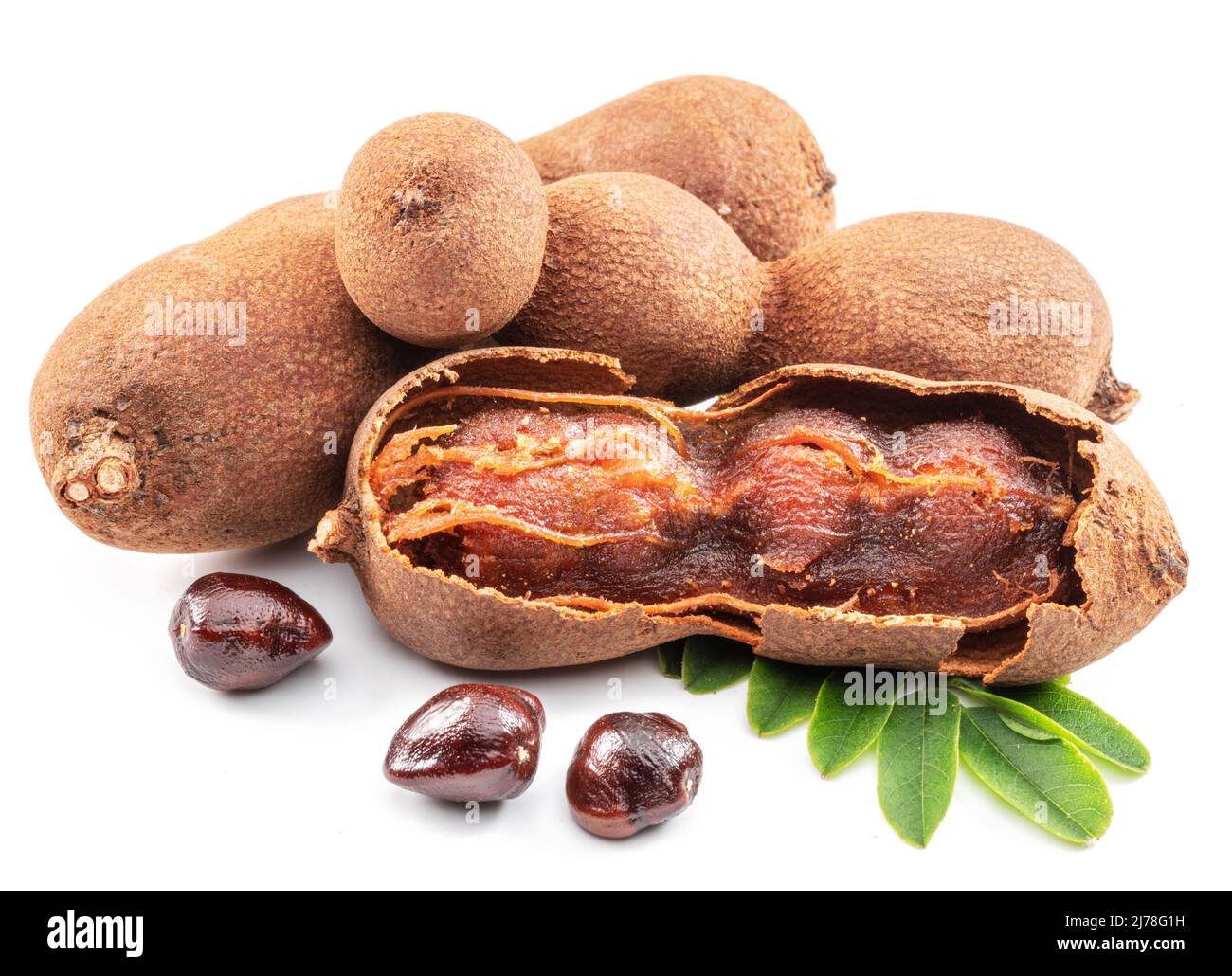 Fruta tamarindo madura, hojas y algunas semillas de tamarindo aisladas