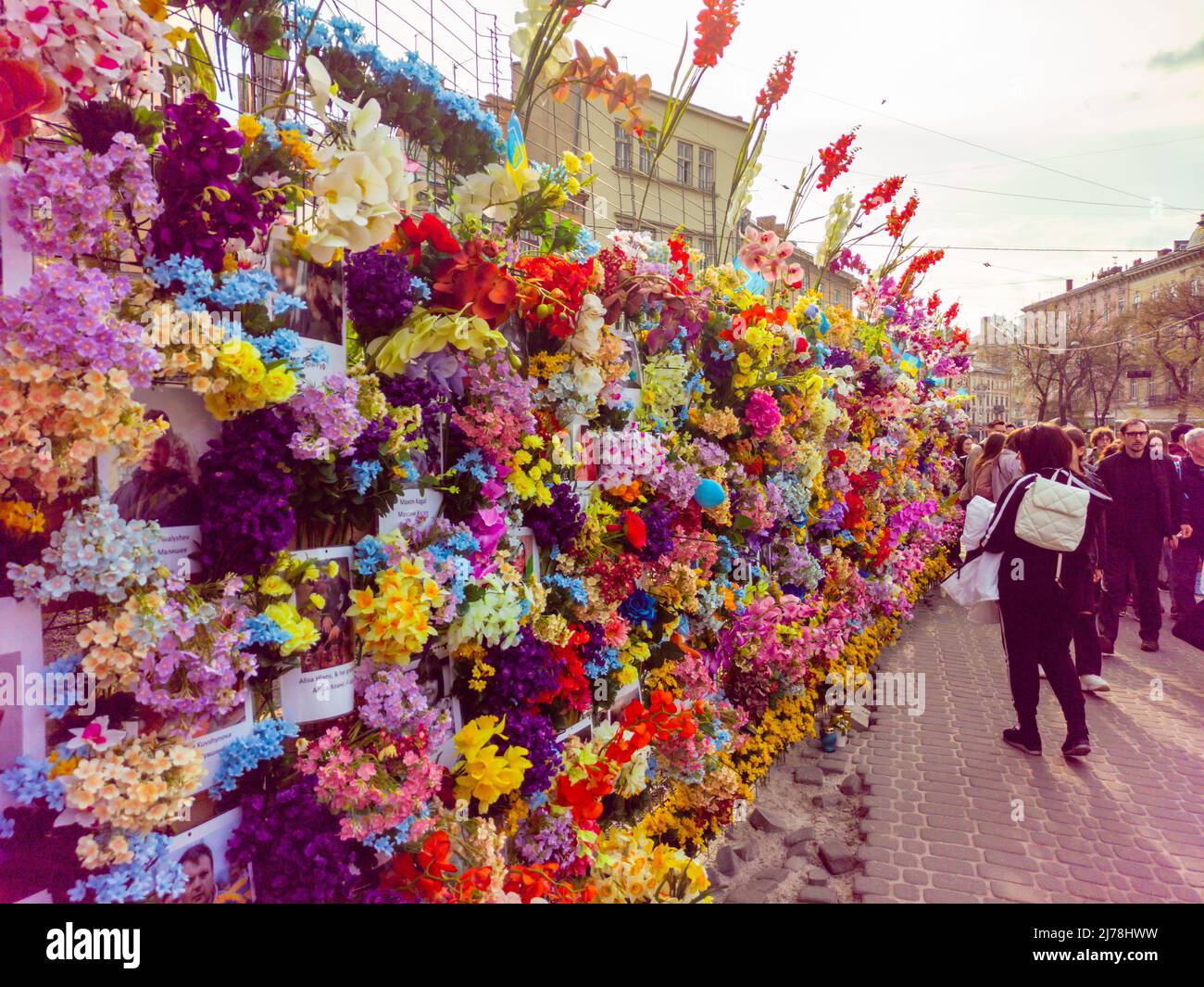 Lviv, Ucrania. Retratos de ucranianos que murieron durante la guerra y flores Foto de stock