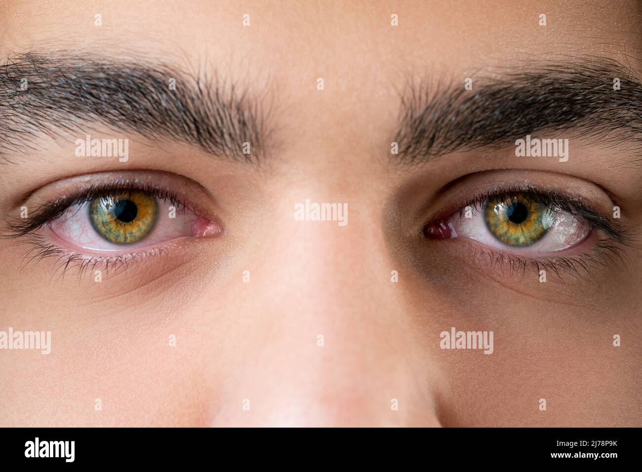 Primer plano, foto macro de un ojo coloreado, iris, pupila, pestañas de ojos, tapas de ojos. Fotografías de alta calidad Foto de stock