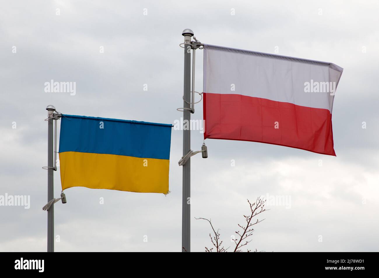 Banderas polacas y ucranianas vuelan lado a lado, fuera de la Oficina Municipal Pruszcz Gdanski, Polonia Foto de stock