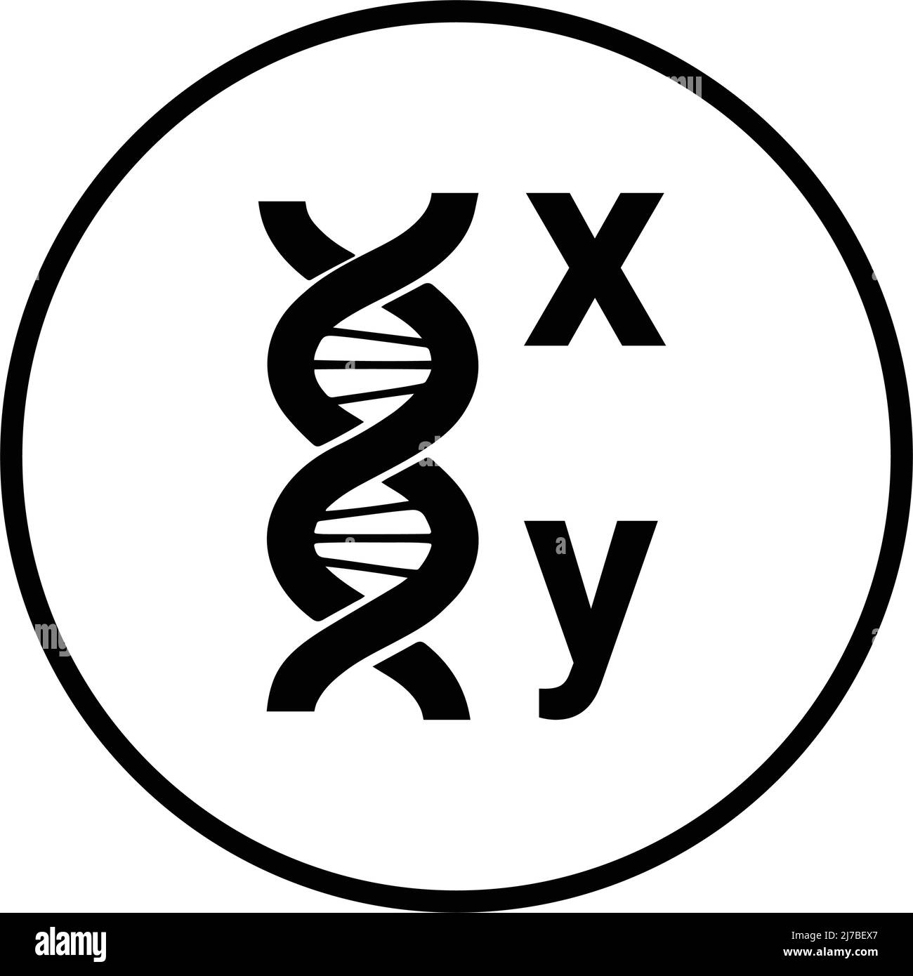 Cromosomas Imágenes de stock en blanco y negro - Alamy