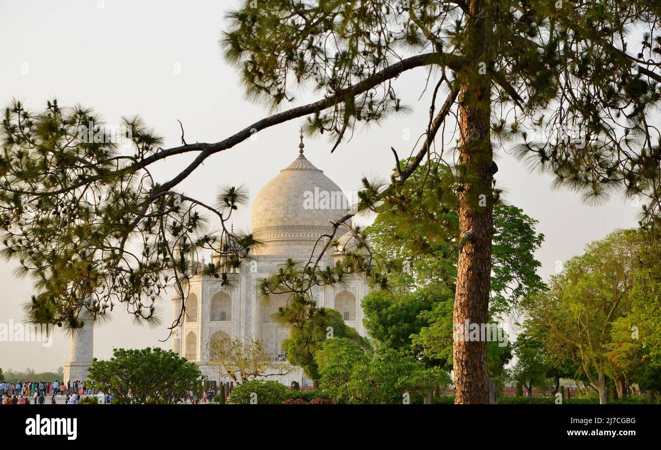Taj Mahal - Monumento del amor Foto de stock