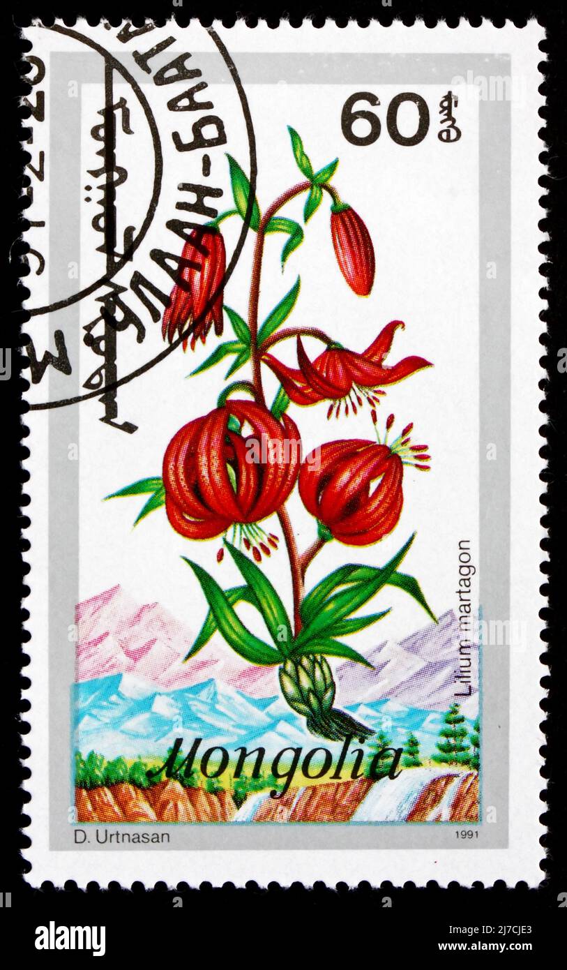 MONGOLIA - ALREDEDOR de 1991: Un sello impreso en Mongolia muestra Martagon, Lilium Martagon, Flooring Plant, alrededor de 1991 Foto de stock