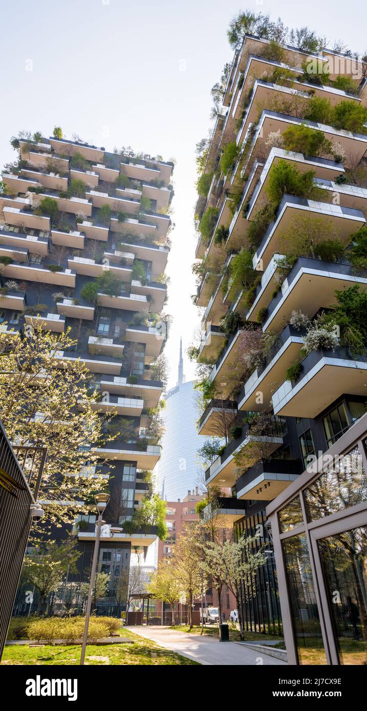 Bosco Verticale (madera vertical) es un complejo de dos torres residenciales ecológicas cubiertas de árboles en Milán, Italia. Foto de stock