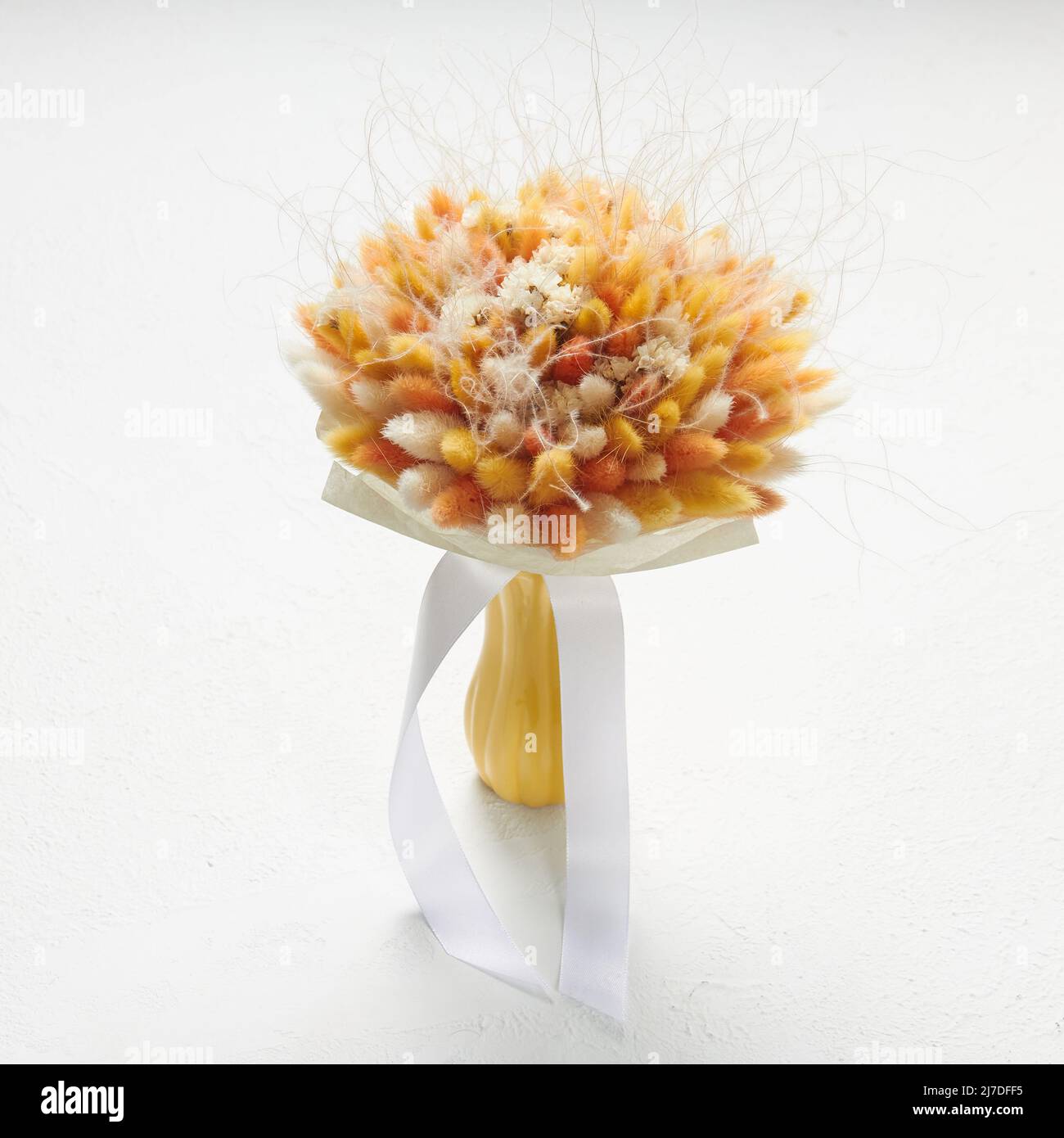 Pequeño ramo de lagurusos blancos y naranjas, de pie en un jarrón sobre fondo blanco Foto de stock
